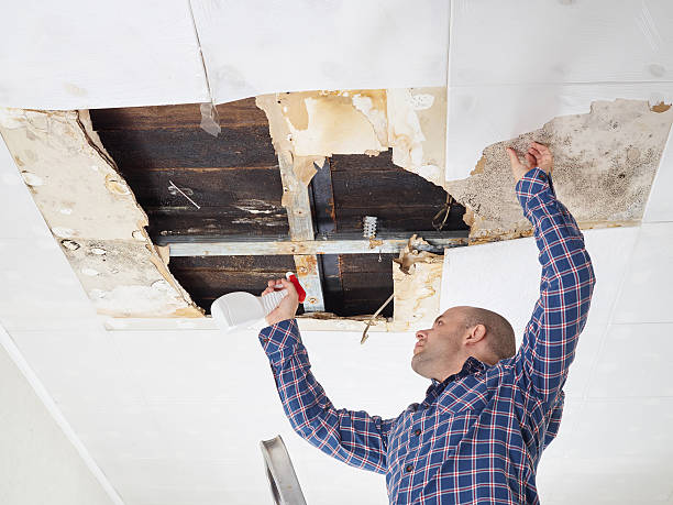  Wanaque, NJ Mold Removal Pros